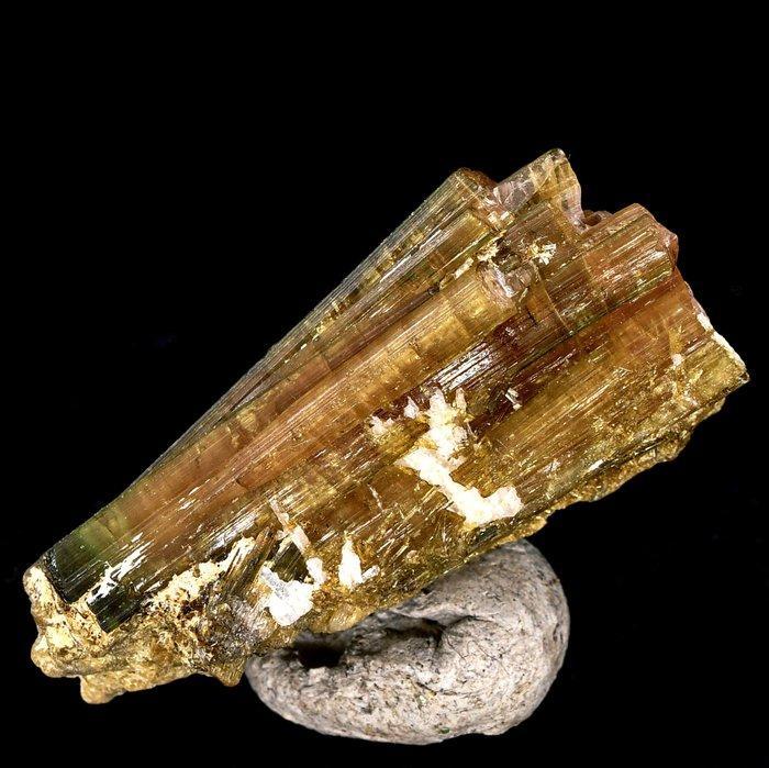 Hoogwaardige polychrome toermalijn in een tweelingformatie,, Verzamelen, Mineralen en Fossielen