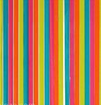 Regenboog deurgordijn Insectengordijn vliegengordijn, Nieuw