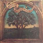 LP gebruikt - Steeleye Span - Now We Are Six, Verzenden, Zo goed als nieuw