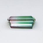 1 pcs Tweekleurig Toermalijn - 1.87 ct - International, Nieuw