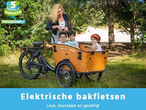Baby plezier met elektrische bakfiets bakfietsen van QIVELO!, Kinderen en Baby's, Overige Kinderen en Baby's, Nieuw, Ophalen of Verzenden