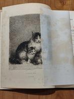 G. de Cherville - Les Chiens et les Chats d’Eugène Lambert -, Antiek en Kunst