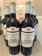 Viña Solorca, Gran Solorca - Ribera del Duero Reserva - 6, Nieuw