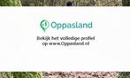 Lisa zoekt een oppas in Drachten voor 1 kind voor 4 dagen...