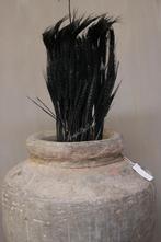 Bos gedroogde tarwe stengels Black 75 cm, Nieuw, Ophalen of Verzenden