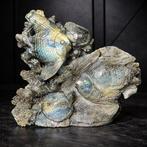 labradoriet marienleven-beeldhouwwerk – Onderwaterwereld met