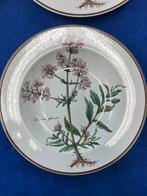 Villeroy & Boch - Tafelservies (7) - Botanica - Vitro