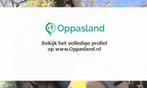 marco zoekt een oppas in Amsterdam voor 1 kind op dinsdag..., Vacatures, Vacatures | Klantenservice en Callcenter