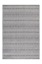 Buitenkleed | Aruba | Ruiten | Grijs | 80x150 cm, Huis en Inrichting, Verzenden, Nieuw