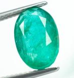 Zonder Minimumprijs Groen Smaragd - 3.74 ct - International, Nieuw