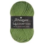 Scheepjes Truly Scrumptious - 336 Green Tea Éclairs - Gare, Hobby en Vrije tijd, Ophalen of Verzenden, Nieuw