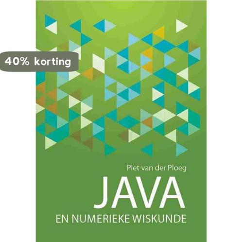 Java en Numerieke Wiskunde 9789082172959 Piet van der Ploeg, Boeken, Wetenschap, Zo goed als nieuw, Verzenden