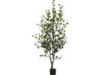 Mica Decorations Kunstplant Eucalyptusboom in Pot - H180 x, Huis en Inrichting, Kamerplanten, Verzenden