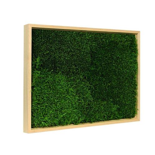 Vintlux Mosschilderij Lappenmos Blank Hout, Huis en Inrichting, Woonaccessoires | Wanddecoraties