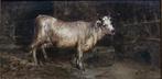 Domenico Battaglia (1842-1904) - Mucca in stalla