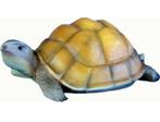 Schildpad, Tuin en Terras, Verzenden, Nieuw