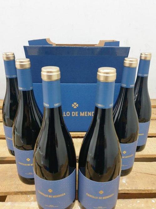 2017 Castillo de Mendoza - Rioja Reserva - 6 Flessen (0.75, Verzamelen, Wijnen