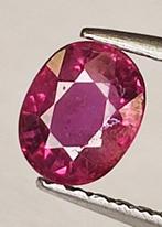 Rood Robijn - 0.66 ct - Antwerp Laboratory for Gemstone, Sieraden, Tassen en Uiterlijk, Edelstenen, Nieuw