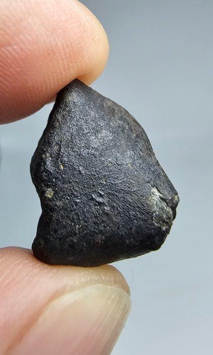 Meteoriet: El Menia L5, waargenomen val in 2023. Super vers, Verzamelen, Mineralen en Fossielen