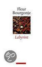 Labyrint 9789045009933, Boeken, Zo goed als nieuw, Verzenden