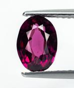Zonder minimumprijs Spinel - 2.02 ct - Antwerp Laboratory, Nieuw