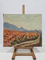 Miguel Cortés (1944) - Llamas del viñedo