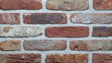 art. 8298 rood wit zwart nuance moduul 50 gevelstenen beschikbaar voor biedingen