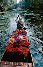 Steve McCurry (1950–) - Flower Seller. Dal Lake, Srinagar,