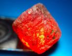 101,5 ct - Onbehandelde robijn - Ruw- 20.3 g, Verzamelen, Mineralen en Fossielen