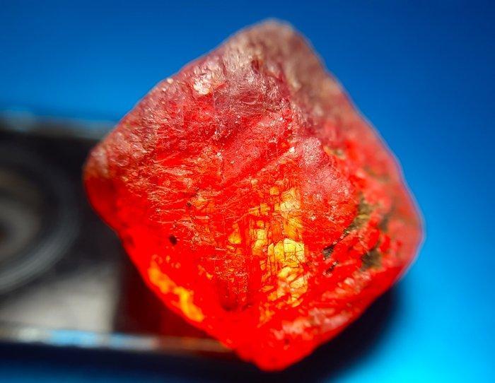 101,5 ct - Onbehandelde robijn - Ruw- 20.3 g, Verzamelen, Mineralen en Fossielen