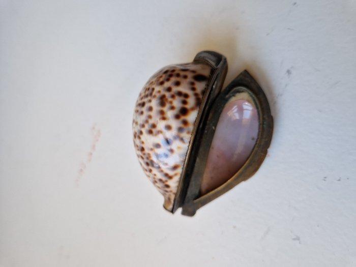 Snuifdoos - Schelp, parelmoer, Messing, Antiek en Kunst, Curiosa en Brocante