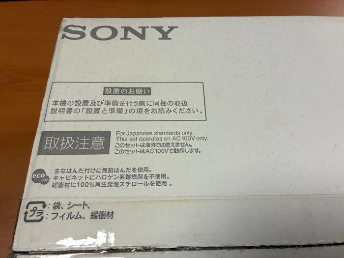 Sony - Sony PSX DESR-7100 – 250 GB HDD / DVD Recorder –, Spelcomputers en Games, Spelcomputers | Overige Accessoires