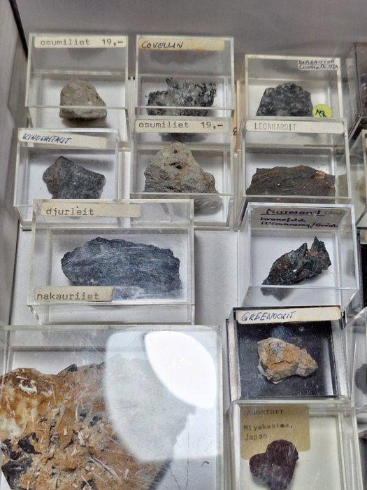 Zeldzaam gemengd Mineralencollectie - Hoogte: 8 cm -, Verzamelen, Mineralen en Fossielen