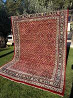 Indo Bidjar - Tapijt - 350 cm - 250 cm, Nieuw