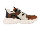Braqeez Robin Run 421792-513 Bruin-31, Verzenden, Nieuw, Bruin