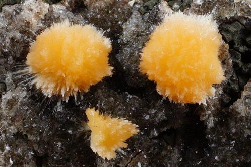 TOP MESOLIET met THOMSONIET - groot exemplaar van grote, Verzamelen, Mineralen en Fossielen