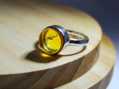 Zeldzame fossiele mug in Baltisch amber ring – Sterling, Verzamelen, Mineralen en Fossielen