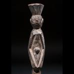 Piket - Schimmel - Nigeria