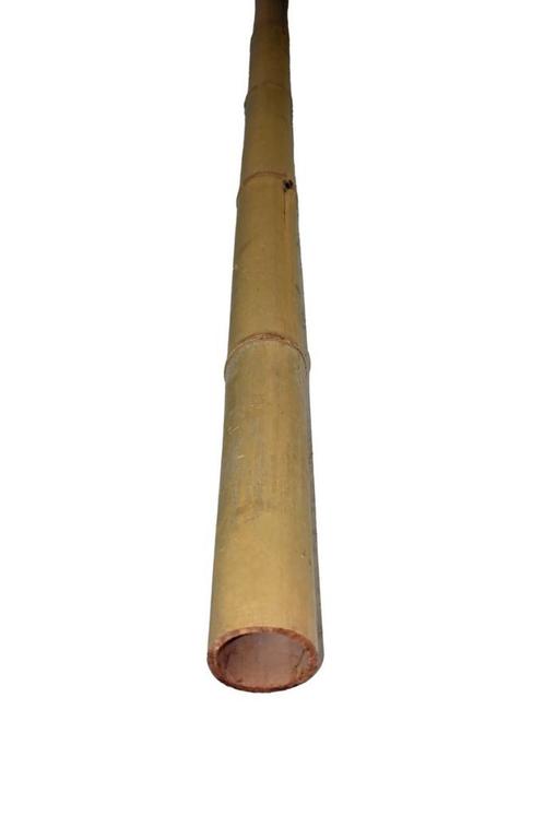 Moso bamboepaal 5-7 300, Tuin en Terras, Schuttingen, Verzenden