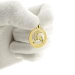 Gouden sterrenbeeld hanger; Steenbok (Hanger of bedel), Sieraden, Tassen en Uiterlijk, Bedels, Ophalen of Verzenden, Gebruikt