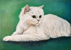 Lisa Braun - White Persian cat with green eyes