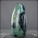 Natuurlijke Kambaba-vrije vorm Het groene fossiel van het, Verzamelen, Mineralen en Fossielen