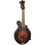 Gold Tone F-6 elektrische mando-guitar, met koffer, Verzenden, Nieuw