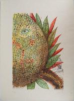 Salvador Dali (1904-1989) - Fleurs Revees, l’Ananas, Antiek en Kunst
