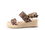 Dolcis Sandalen in maat 38 Overig | 10% extra korting, Kleding | Dames, Schoenen, Dolcis, Overige kleuren, Verzenden, Sandalen of Muiltjes