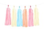 Tassel Slinger Gekleurd Pastel 2m, Verzenden, Nieuw