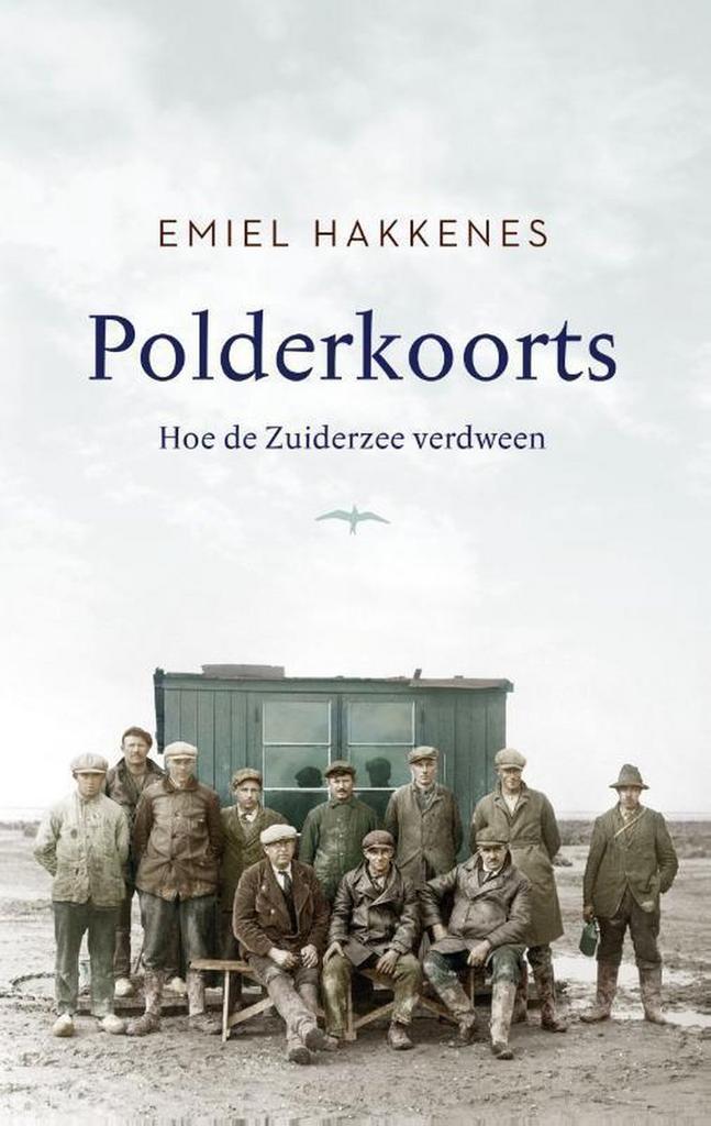 Polderkoorts 9789400407046 Emiel Hakkenes, Boeken, Literatuur, Gelezen, Verzenden