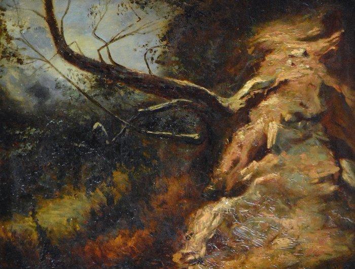 Franse school (XIX) - Arbre poussant sur un rocher, Antiek en Kunst, Kunst | Schilderijen | Klassiek