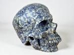 Blue speckled sodalite van hoge kwaliteit Gesneden schedel -