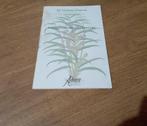 Leonhart Fuchs - De Historia Stirpium Commenta - 2003, Antiek en Kunst